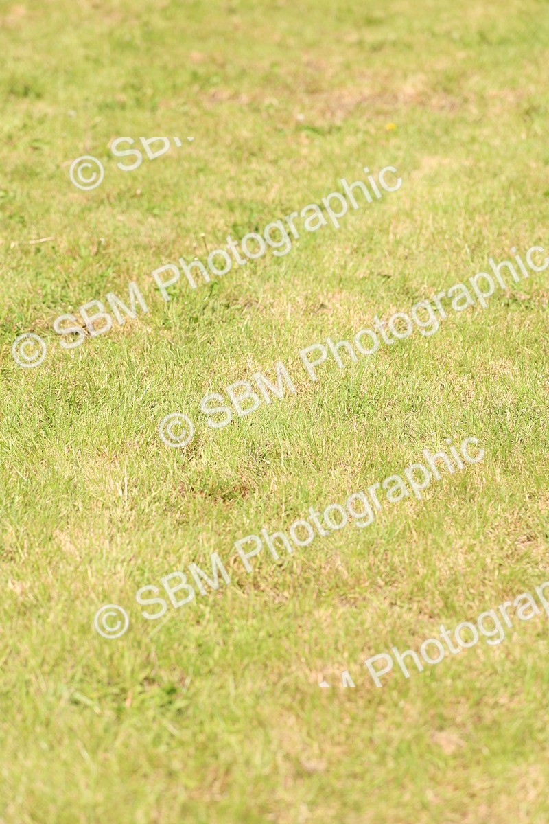 SBM_13826 - Class 206 - Senior Newcomers - 1.10m Open