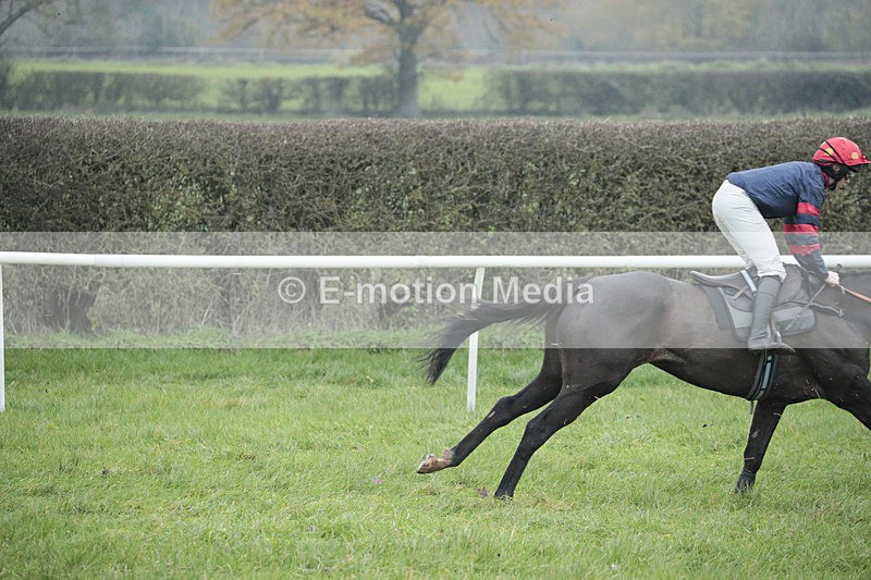 PtP 041222 0229 - Wheatland  Hunt PtP Chaddesley Corbett, Worcs 04/12/22