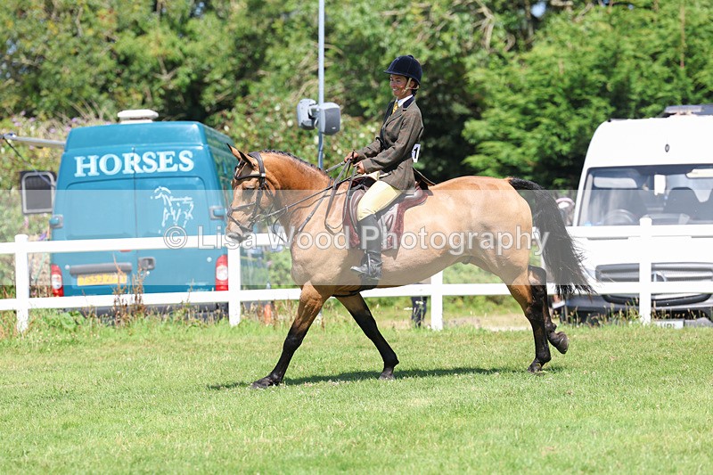 3E7A8978 - Class 6: Open Working Horse