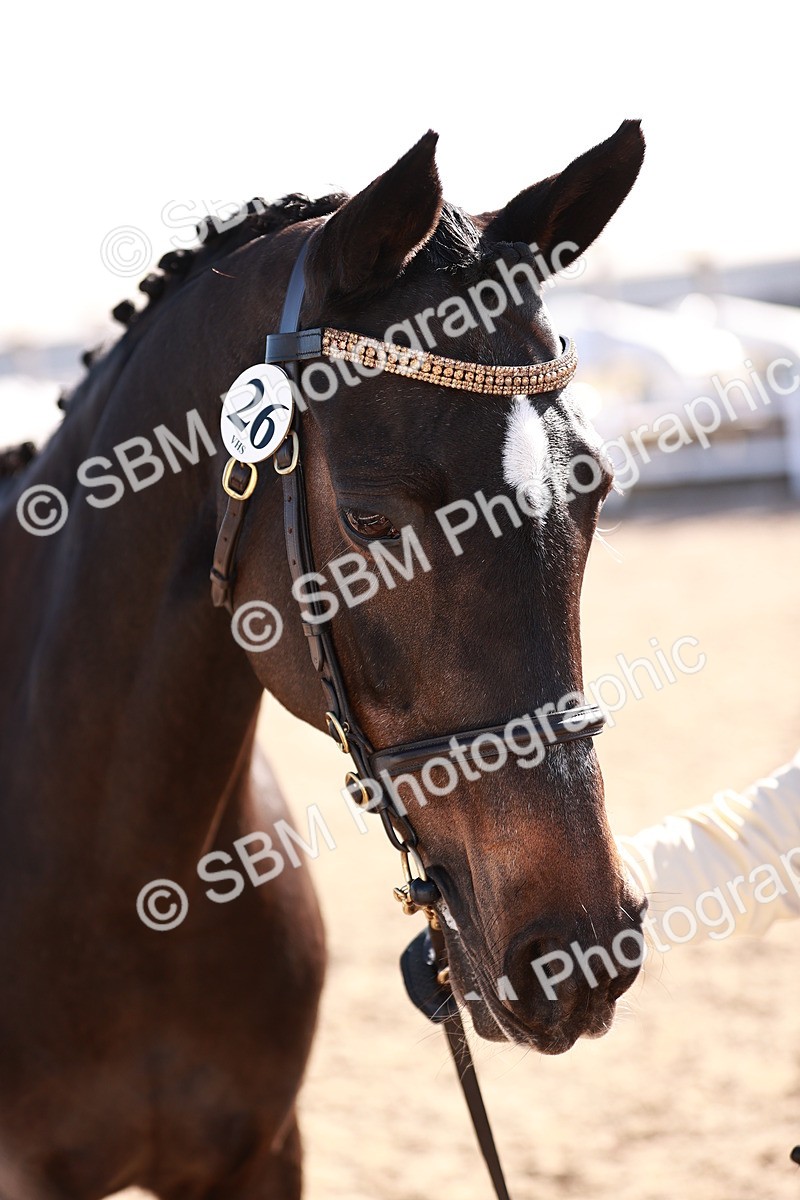 SBM_22749 - Class 705 - IH Combination 65+