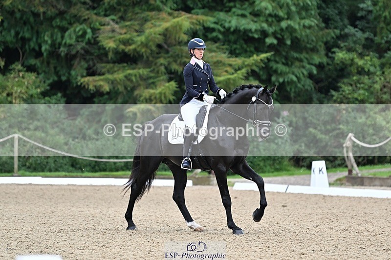 240810-102919-02678 - 235-Rebecca.Cowderoy-Nights.Dream