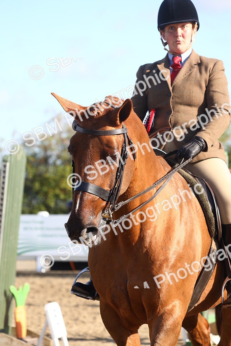 SBM_08599 - Class 502 - Riding Club Horse