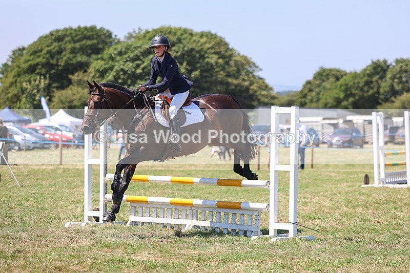3E7A4440 - Class 10: Senior British Novice/90cm open