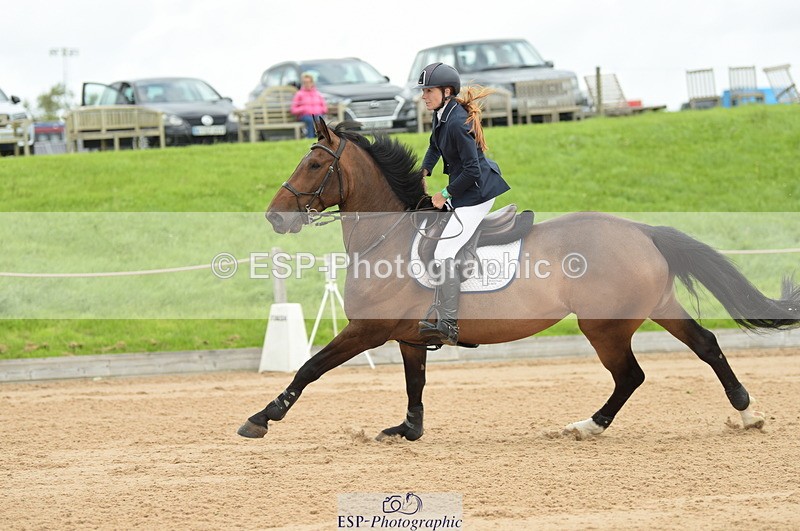 230813A-134636-13283 - Cls 49 Chard Eq 5yr Old Championship