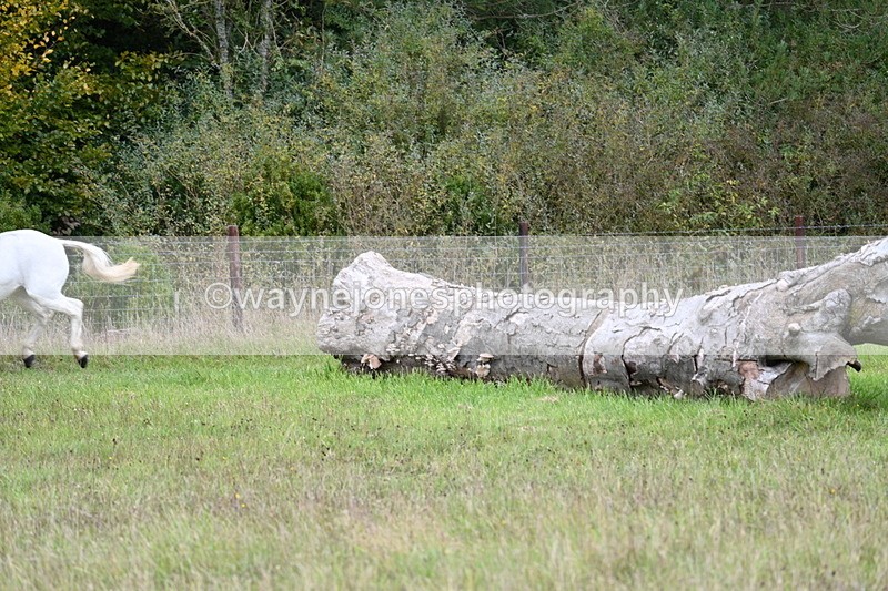 WJ7_3682 - Camera 1 Line 1