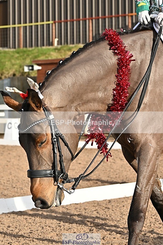 241214-131927-02395 - 106-Tyler.Bradshaw-Mexx