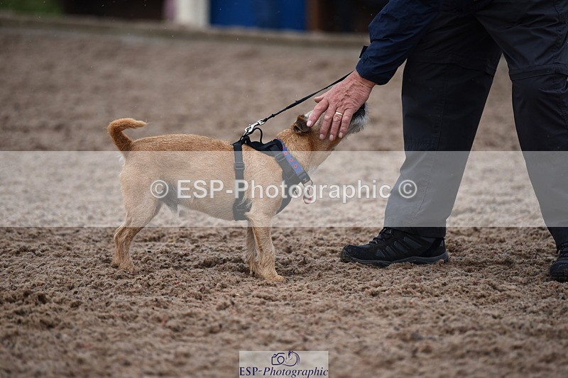 240518A-125958-01225 - Cls 6 Best Veteran