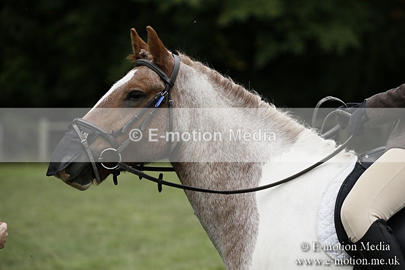 BVR080918 3 - BVRC Novice Dressage & CR 08/09/18