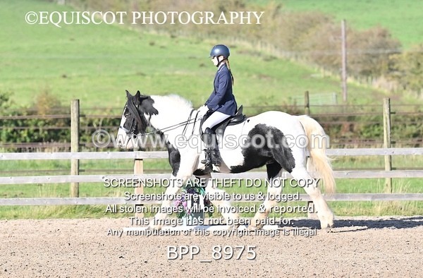 BPP_8975 - SHORT ARENA INTRO 3