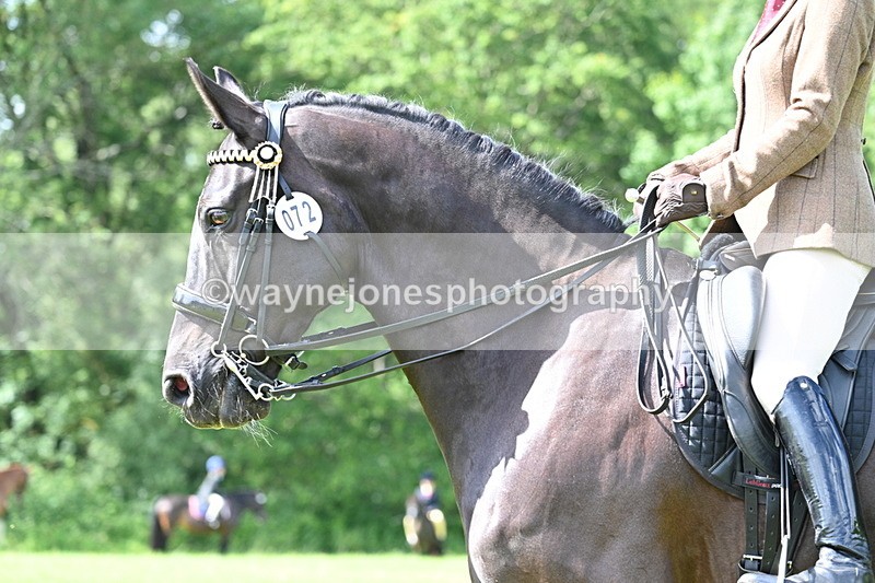 WJ7_1107 - Class 11 Condition & Turnout