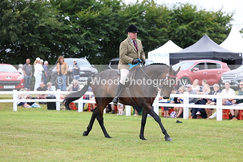 3E7A1312 - Class 8: Open Riding Horse/Hack