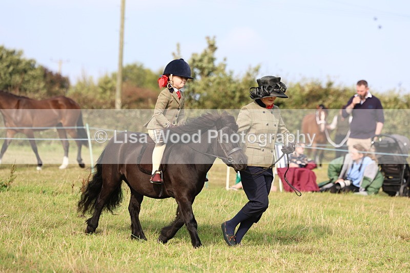 3E7A3684 - Class 2: Lead rein