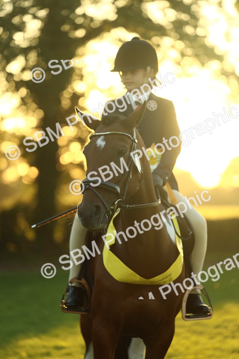 SBM_56659 - Fun & Versatile Supreme Championship