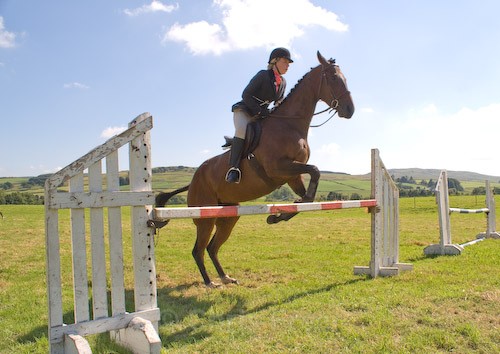146 - Moniaive Horse Show 2008