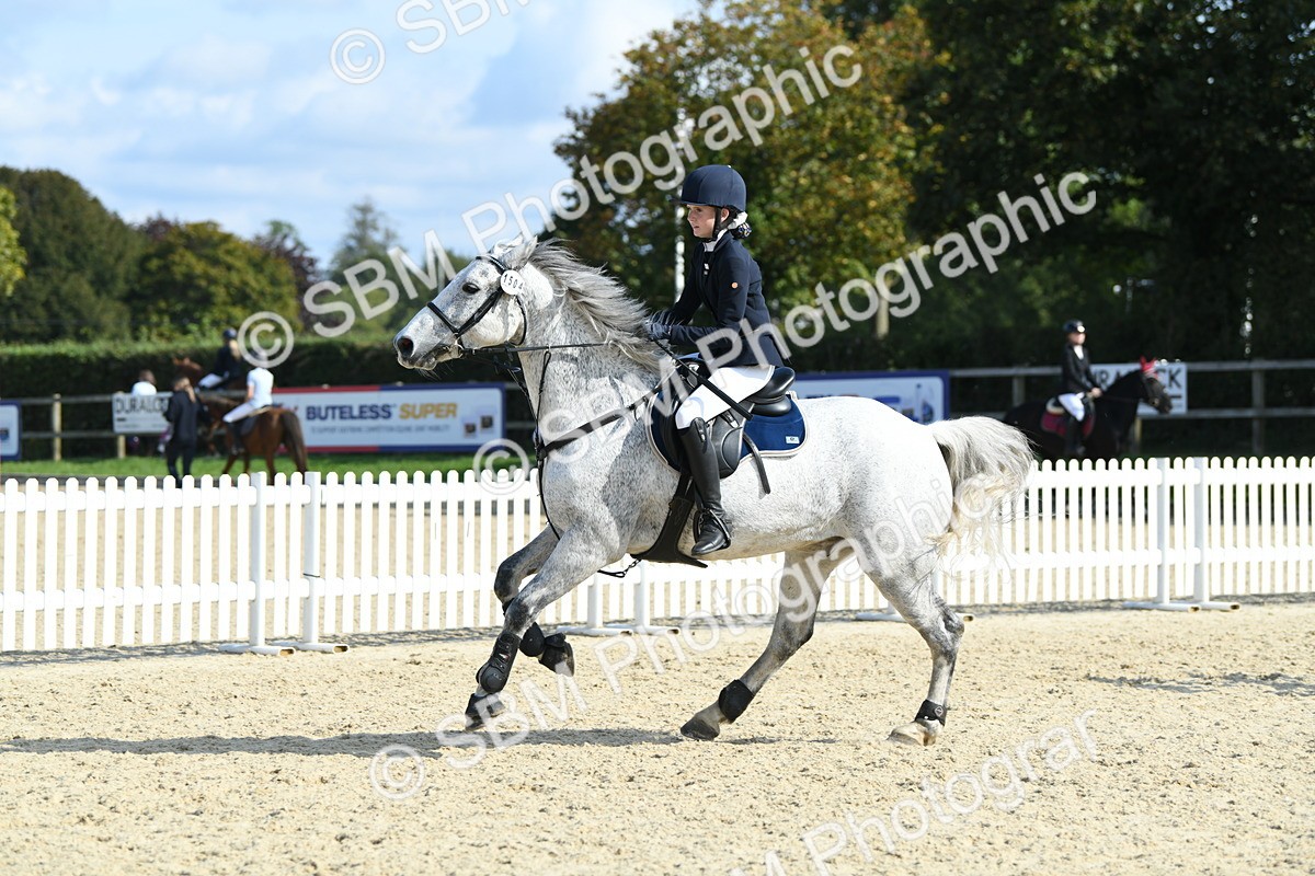 SBM_61757 - j25 - Junior Horse 80cm Championship
