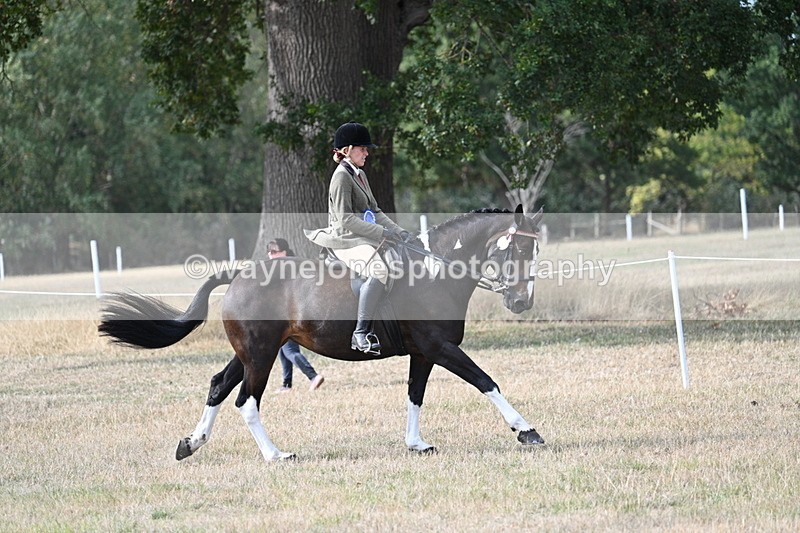 WJ7_7667 - Ridden Championship