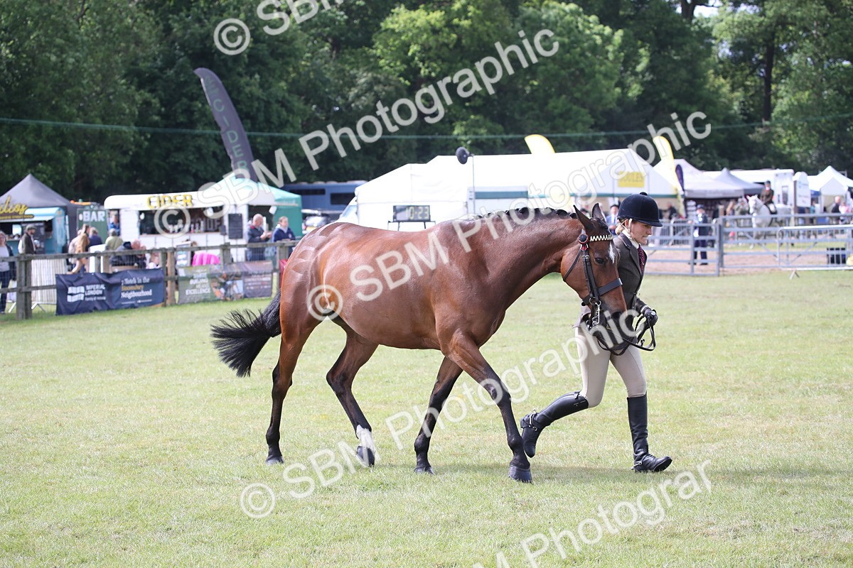 SBM_13261 - Class 95-96 - LIHS BSHA Rising Star Hack Riding Horse