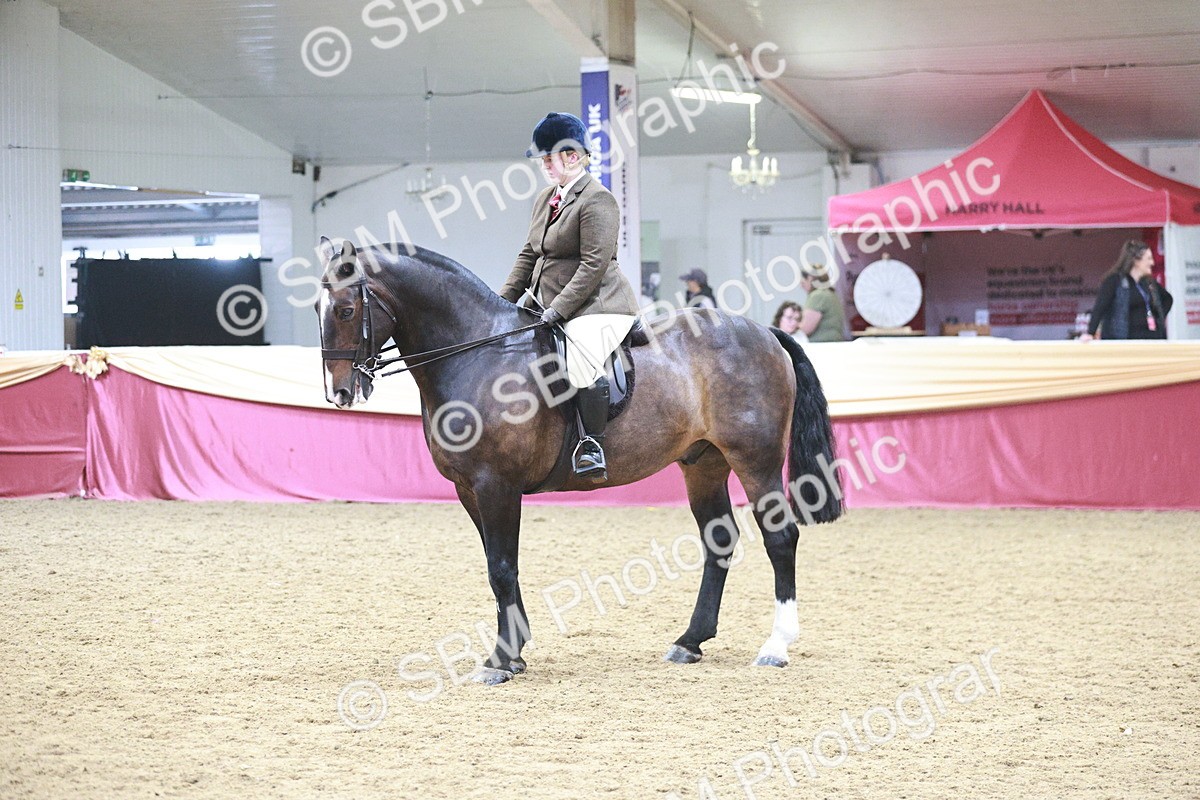 SBM_08859 - Class 12R - Regional Ridden Pre-Vet