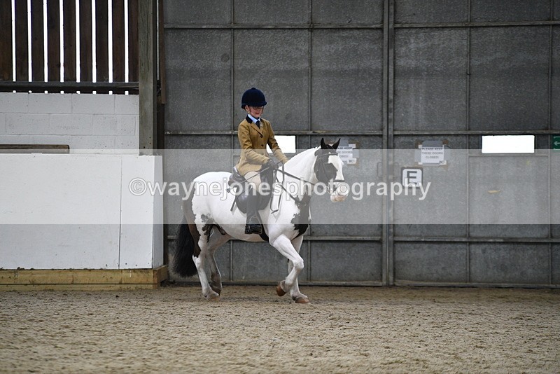 WJ5_7300 - Class 11 Ridden PC - RC Pony