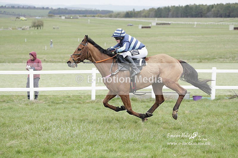 PtP 260323 0520 - New Forest Hounds Point-to-Point Larkhill 26/03/23