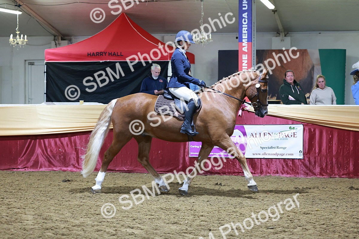 SBM_21284 - Class S - Style & Performance Champ