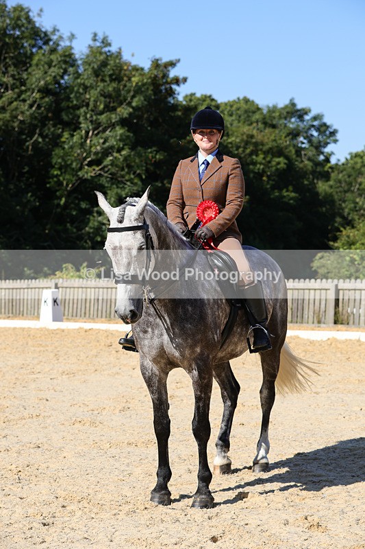 1X9A7835 - Class 9: Open Ridden Hunter