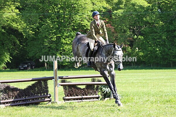 IMG_4873 - Working Hunter