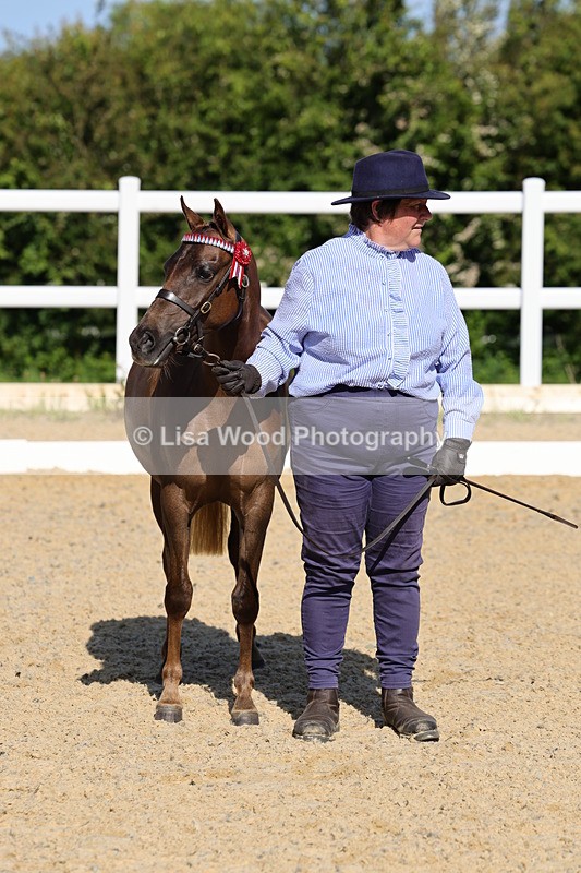 1X9A0670 - Class 3: Youngstock 1, 2, 3 year old not to exceed 153cm