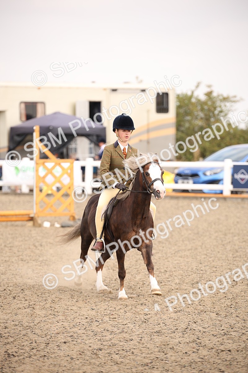 SBM_11690 - Class 404b Junior Working Veteran- 40cm(20+)