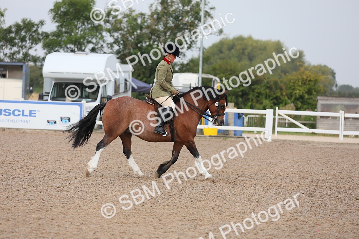 SBM_09977 - Class 302 Ridden M&M -Large Breeds