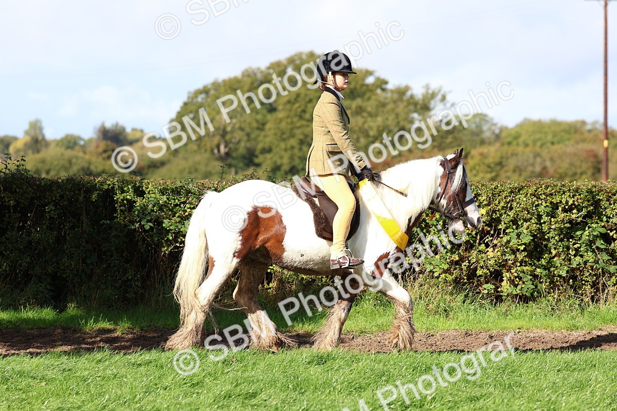 SBM_37415 - Fun Showing Supreme Championship