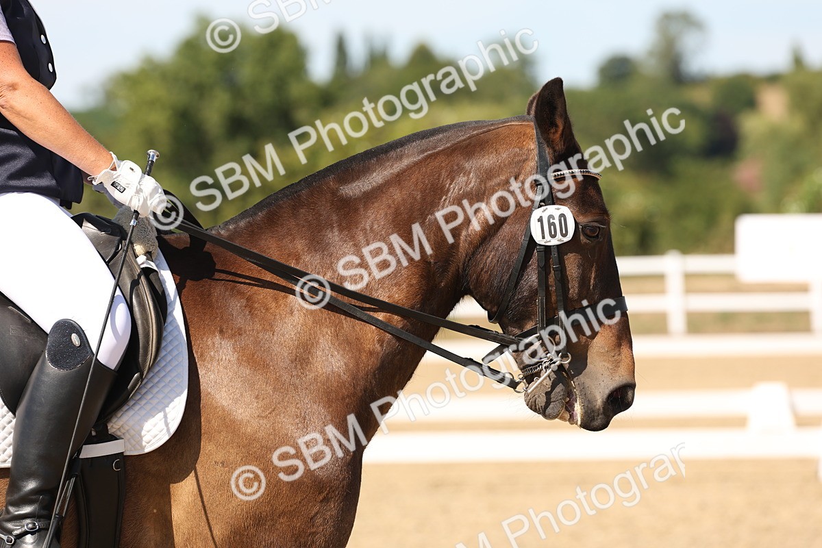 SBM_003765 - Elementary 4