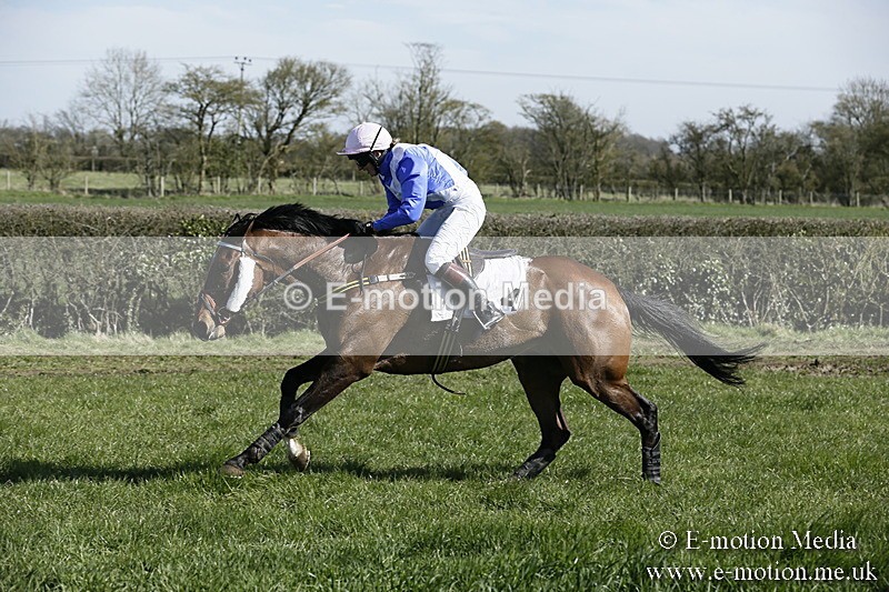 PtP 250317 44 - V.W.H. Hunt Point-to-Point Siddington 25/03/17