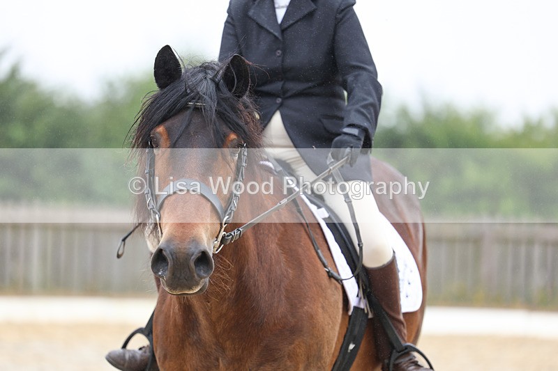 3E7A8163 - Class 1: Intro 3 2024 section A