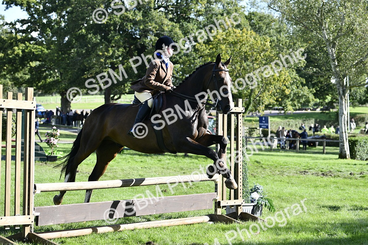 SBM_50008 - S34 - Novice & Newcomers Working Hunter
