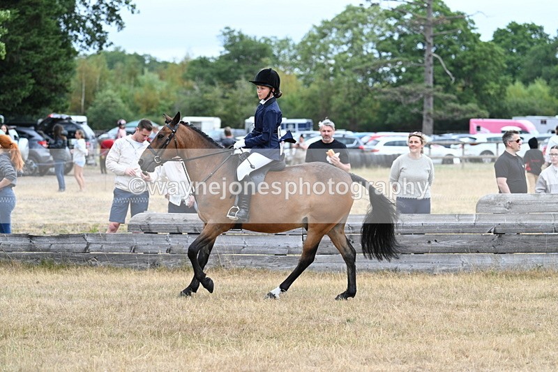 WJ7_7236 - Class 2 Best Rider