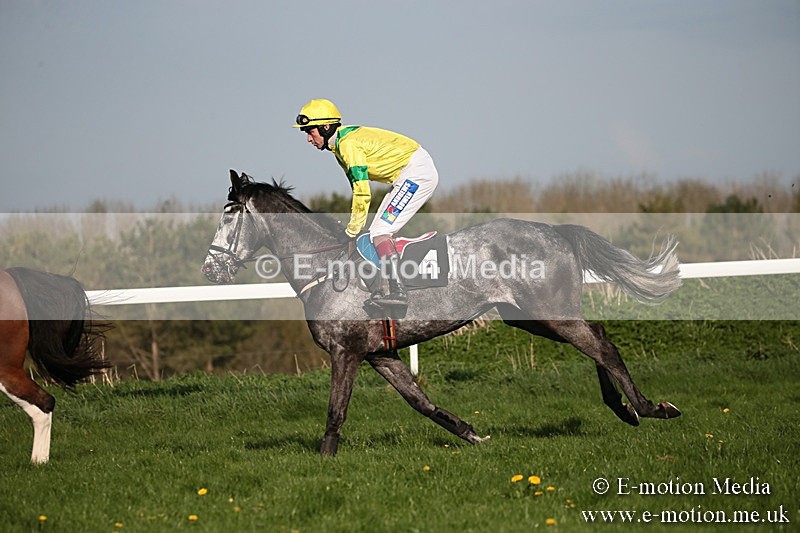 PtP 210418 594 - South & West Wilts Point-to-Point Larkhill 21/04/18