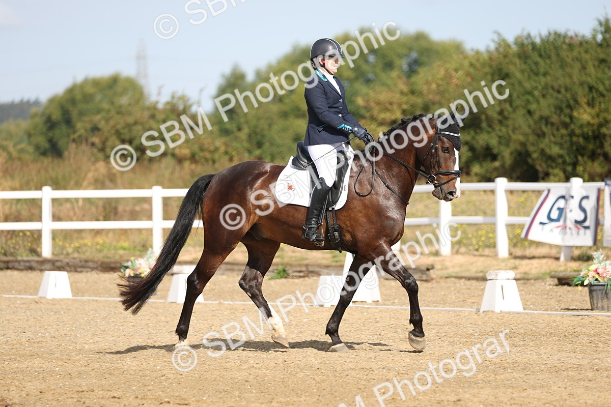 SBM_008462