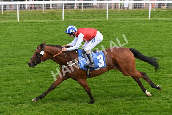 yr10062022r2-27 - Race 2 2.30pm SKF Rous Selling Stakes