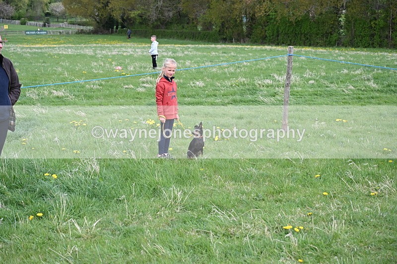 WJ6_8035 - Class 2 Best Pedigree