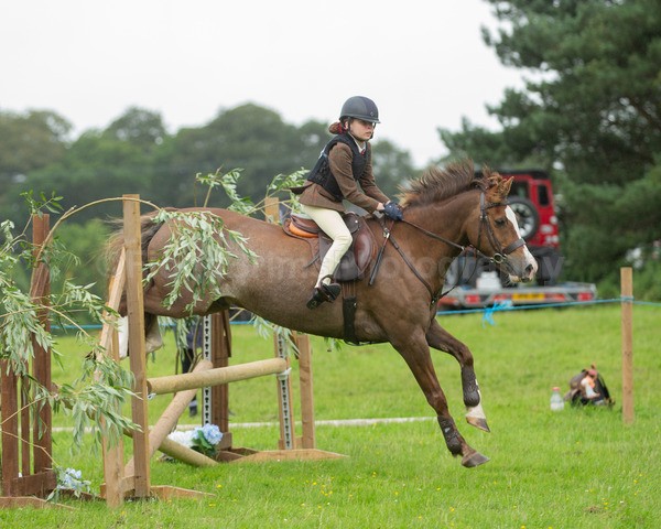 Dunblane show-505 - Dunblane and Doune Show Ring 1