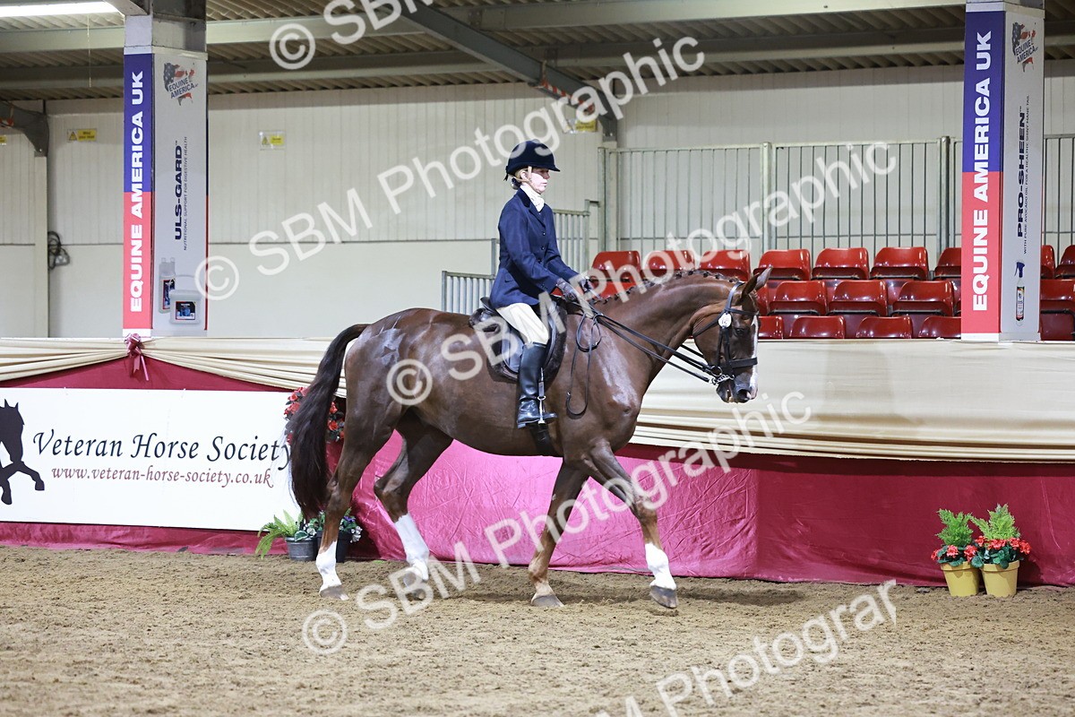 SBM_20690 - Class J - Foreign Breeds Champ