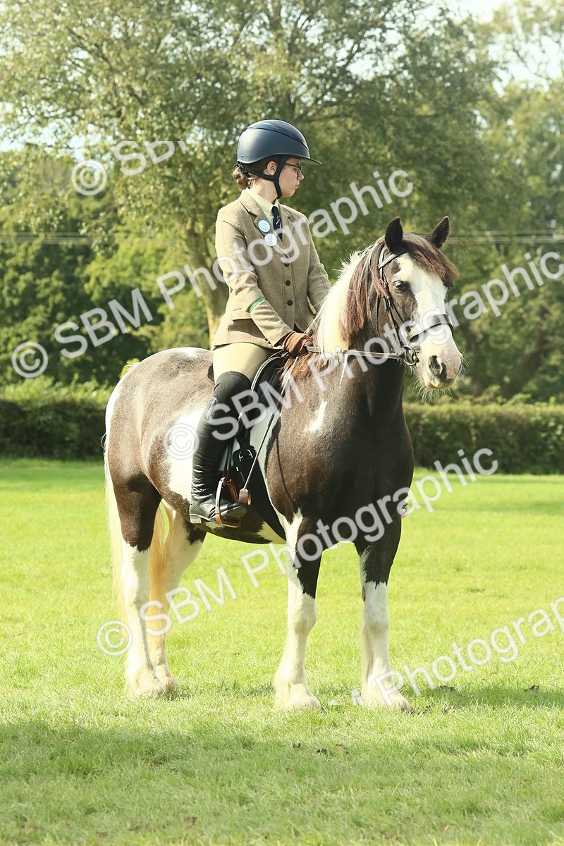 SBM_68936 - S58 - Mini Show Cob Ridden