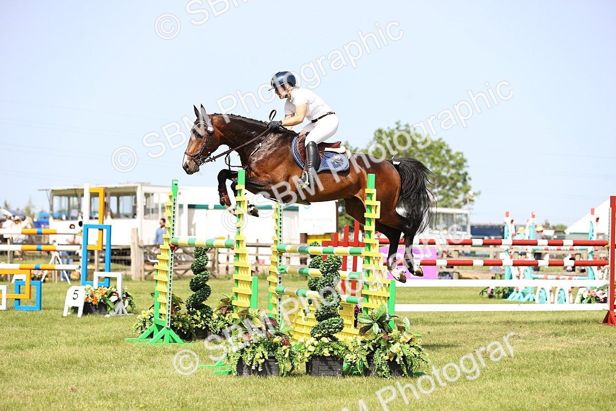 SBM_03019 - Class 201 - British Horse Feedds Speedi Beet HOYS Grade C