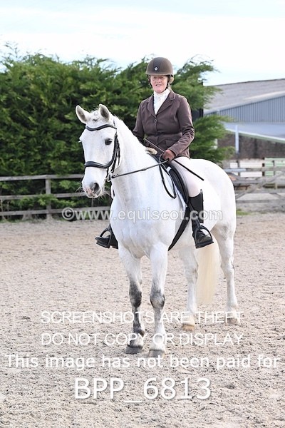 BPP_6813 - RING 1  (RIDDEN HORSES / IN HAND / VETERAN ETC)