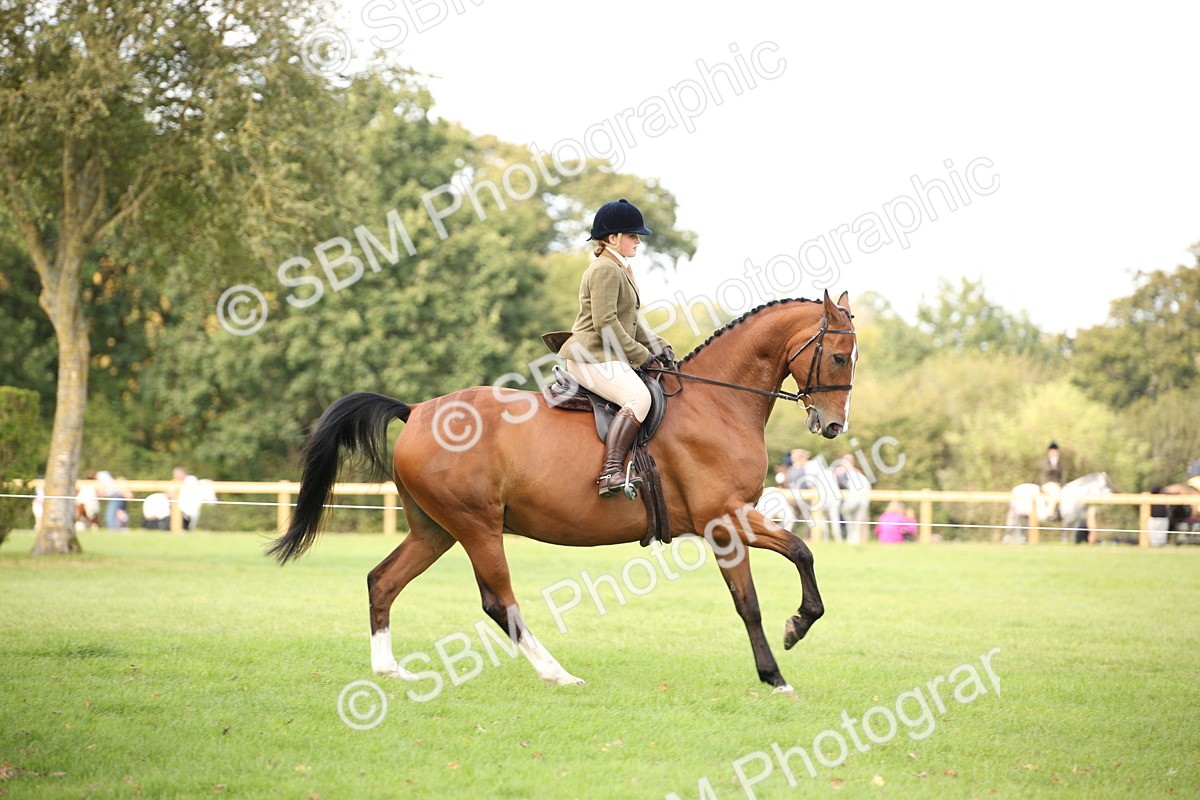 SBM_70374 - S66 - Hunter Ridden