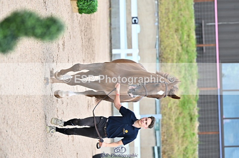 240718A-105324-01963 - Trot Up 2pm to 3pm - This folder is not in time order