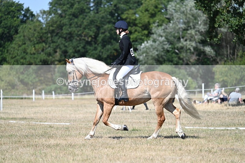 WJ7_0321 - Time 11:33 to 11:44