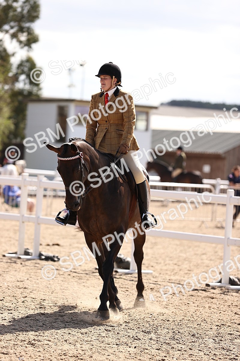 SBM_12979 - Class 410 - Grassroots Ridden - Horse