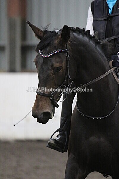 SIAL5401 - CAbin Dressage 5th july 2025
